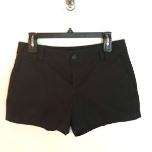 LOFT Shorts Size 4